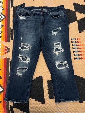 Judy Blue Skinny Fit Capri